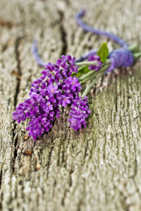 Lavendelblüten, Lavendelstrauß auf Holz